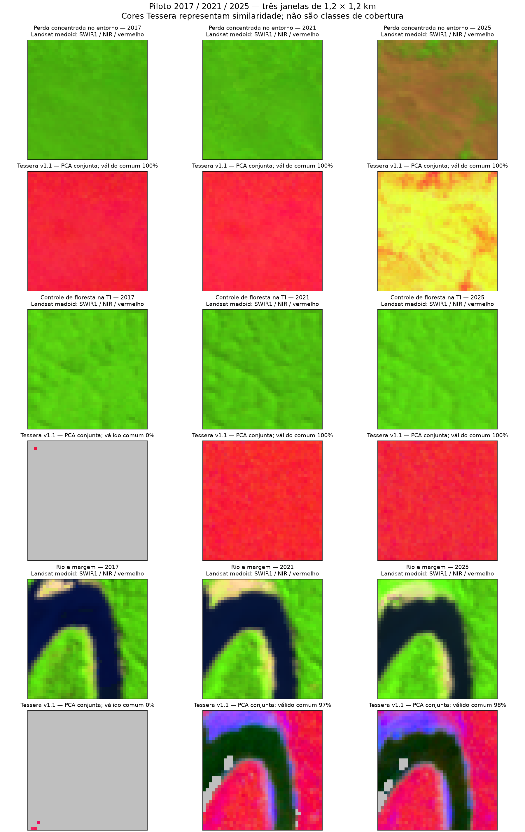 Comparação exploratória de Landsat e Tessera na paisagem amazônica